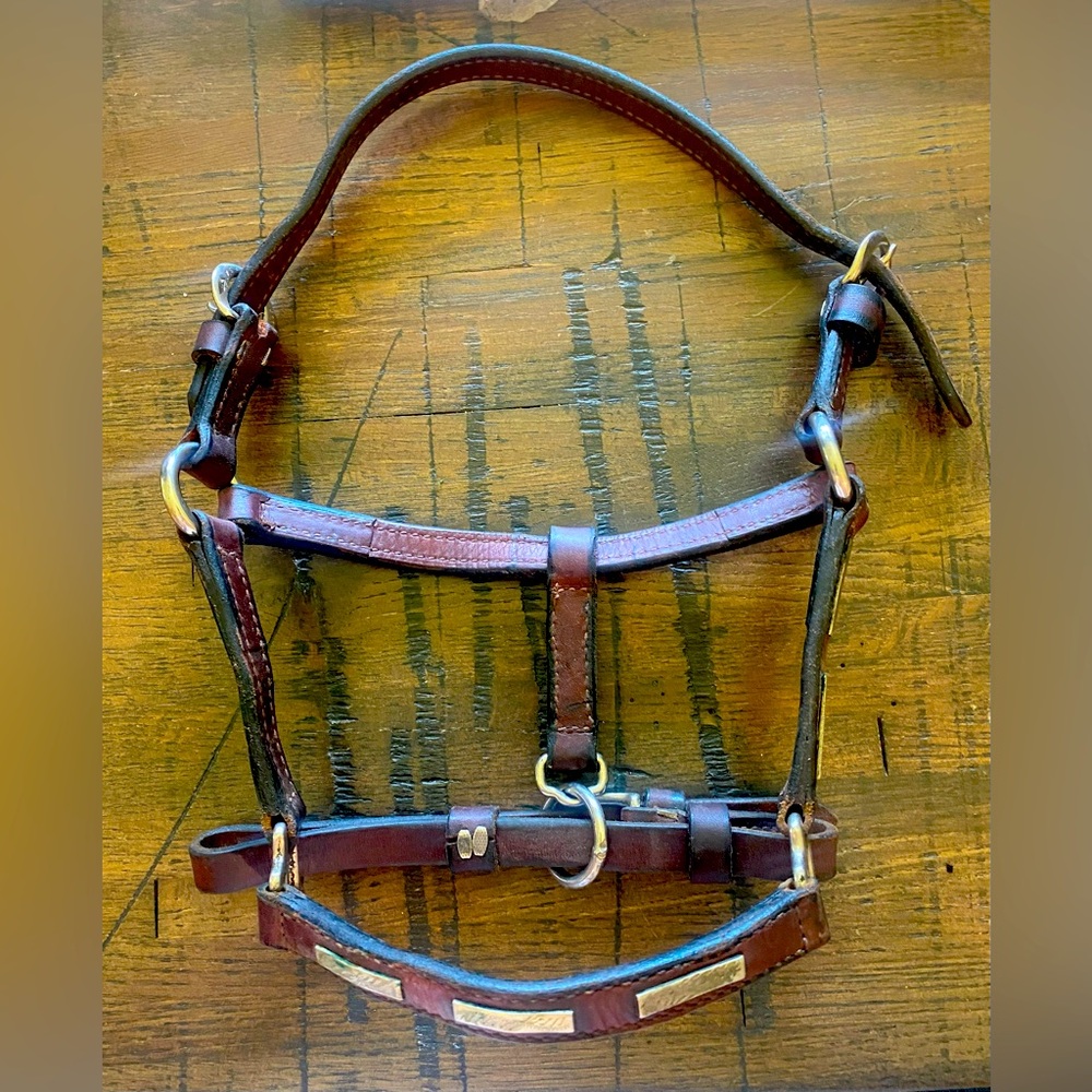 Vintage horse show halter (leather with sterling silver accents). Weanling size